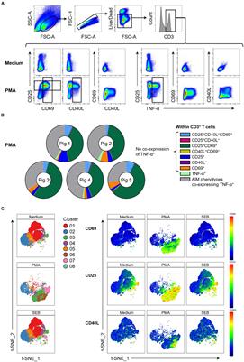Investigation of activation-induced markers (AIM) in porcine T cells by flow cytometry